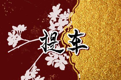 2025年农历六月十一是不是提车吉日 今日提新车好不好