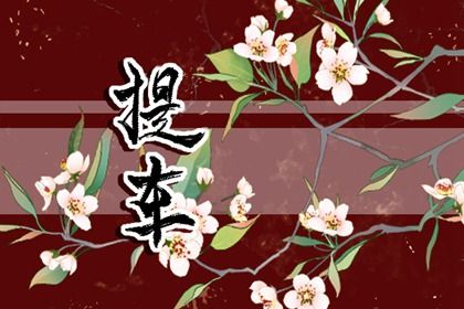 2025年01月19日提车好吗 宜买新车吉日查询