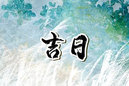 2025年04月15日是提车好日子吗 提车吉利吗