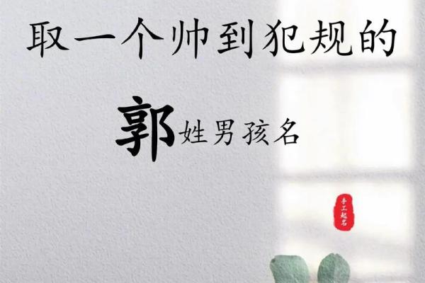 为姓郭的女宝宝挑选一个优雅且寓意深远的名字 为姓郭的女宝宝挑选一个优雅且寓意深远的名字