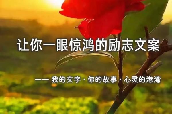 狗与人:是一种命中注定的陪伴还是偶然的选择? 狗与人:是一种命中注定的陪伴还是偶然的选择?