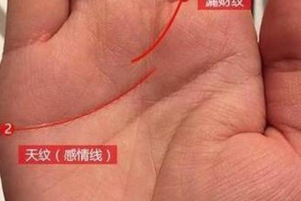 哪些星座天生劳碌命,注定忙碌一生 哪些星座天生劳碌命,注定忙碌一生