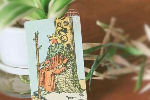 爱情运势全解析:让你在感情中更有掌控力 爱情运势全解析:让你在感情中更有掌控力