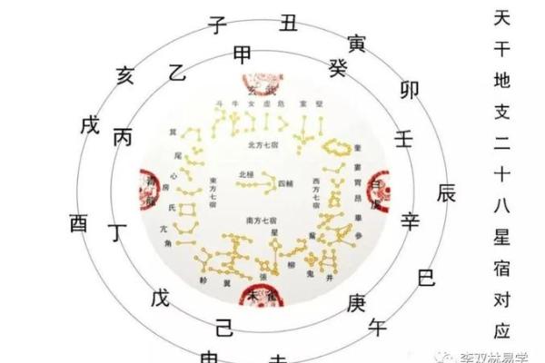 富婆命八字分析:如何通过命理掌握财富与好运 富婆命八字分析:如何通过命理掌握财富与好运