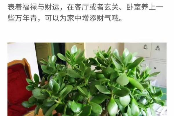 如何根据风水调整家居环境 如何根据风水调整家居环境