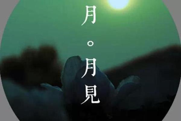 出生的命运特征与人生走向分析 出生的命运特征与人生走向分析