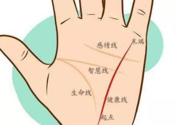 如何通过八字带才发现自己的事业潜力 如何通过八字带才发现自己的事业潜力