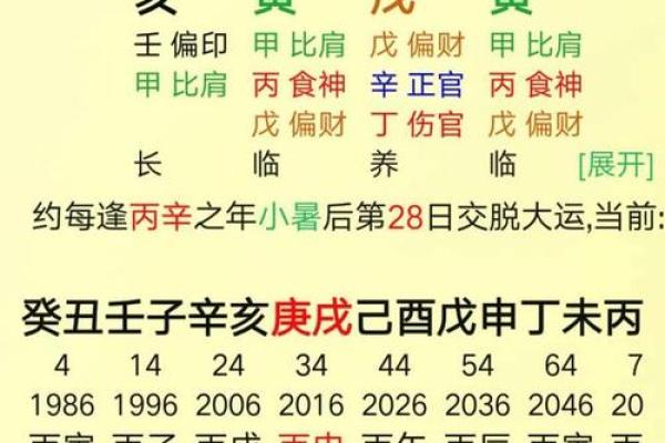 食神命解析:了解食神在八字中的重要性与作用 食神命解析:了解食神在八字中的重要性与作用