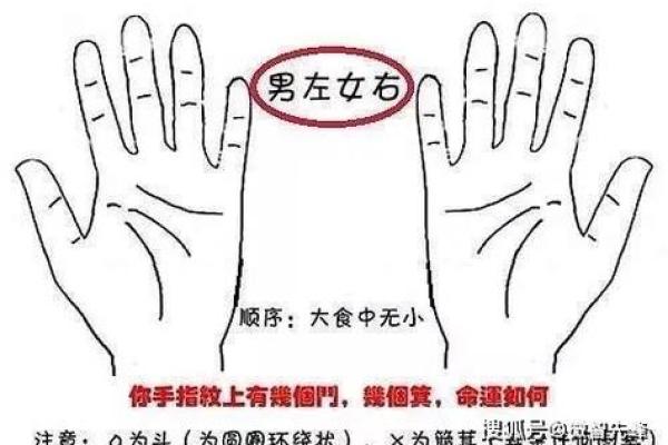 篼簸箕手相配的深层含义与传统文化解读 篼簸箕手相配的深层含义与传统文化解读