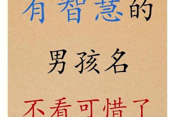 微的好名字:选对名字让你的事业腾飞 微的好名字:选对名字让你的事业腾飞