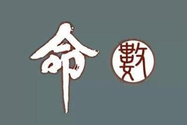 花胎命的含义与命理解析:如何影响人生运势 花胎命的含义与命理解析:如何影响人生运势