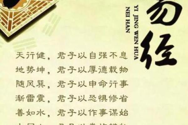花胎命的含义与命理解析:如何影响人生运势 花胎命的含义与命理解析:如何影响人生运势