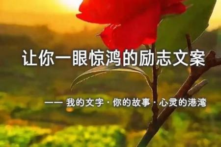 狗与人：是一种命中注定的陪伴还是偶然的选择？