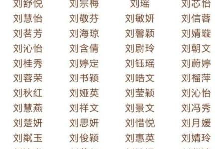 微的好名字：选对名字让你的事业腾飞