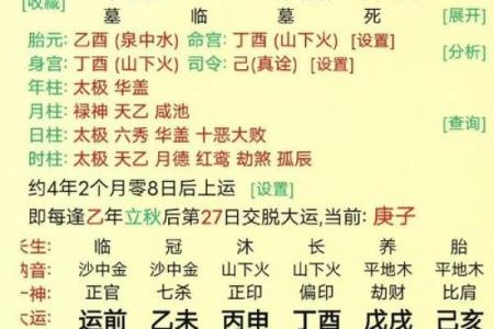 伤官命格在八字命理中的作用