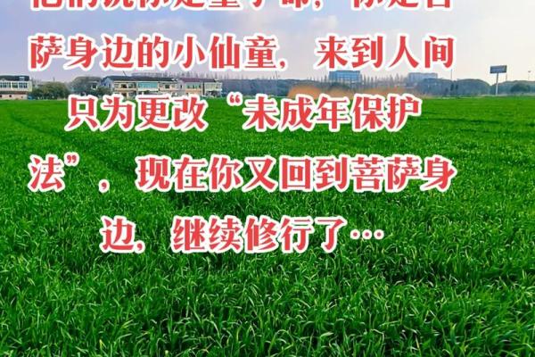 什么是童子命及其特征解析 什么是童子命及其特征解析