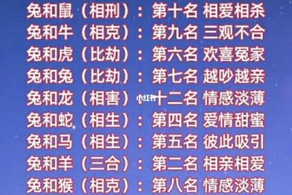 属相配对分析 免费解读你的婚姻运势 属相配对分析 免费解读你的婚姻运势
