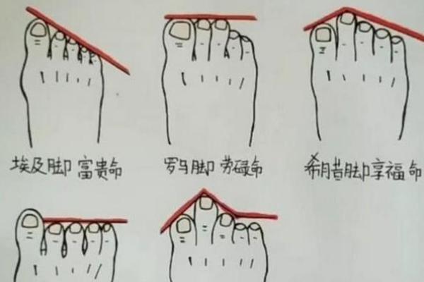脚型与富贵命女性的秘密:从足部看命运走向 脚型与富贵命女性的秘密:从足部看命运走向