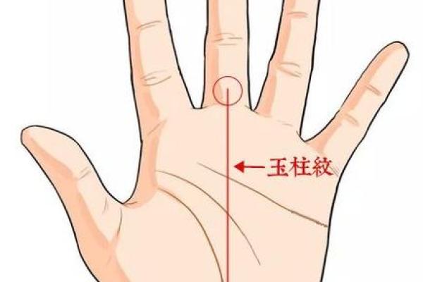 如何判断自己是否拥有右命? 如何判断自己是否拥有右命?