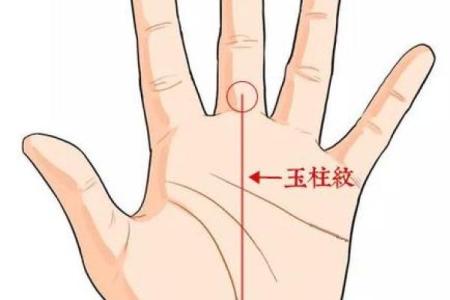 如何判断自己是否拥有右命？