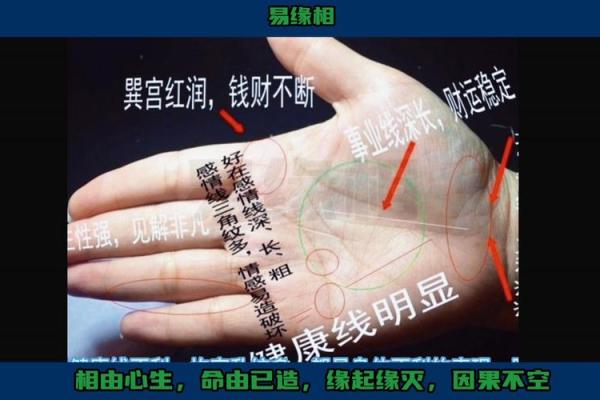 掌中财富:手纹如何决定富贵命运 掌中财富:手纹如何决定富贵命运