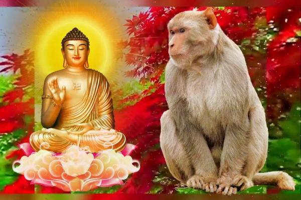 金榜题名与哪个生肖最相关?揭秘背后的生肖文化 金榜题名与哪个生肖最相关?揭秘背后的生肖文化