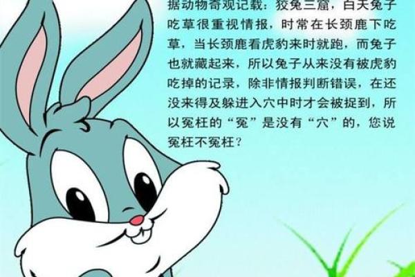 兔子与老鼠的奇妙搭配:探秘两者的默契关系 兔子与老鼠的奇妙搭配:探秘两者的默契关系