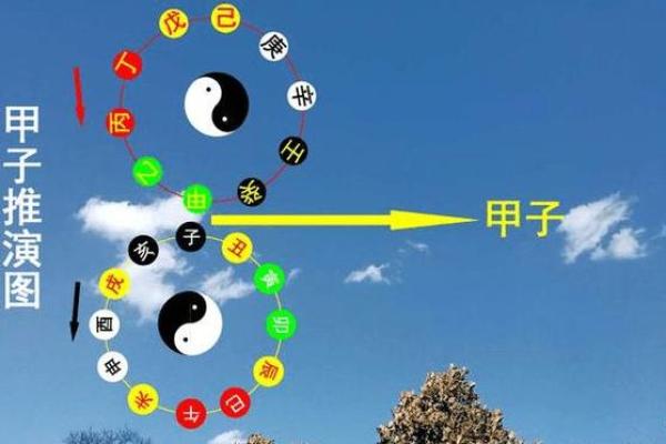 甲子日柱配偶特征解析:与之结婚的人有哪些共同点 甲子日柱配偶特征解析:与之结婚的人有哪些共同点