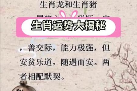 十二生肖运势全解析 详解各生肖运程起伏