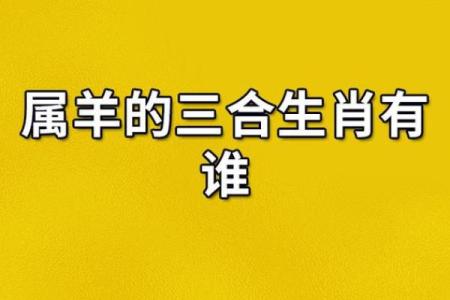 属虎女与属羊男的相处模式与挑战