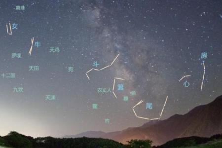 桃花星在八字中的位置与感情运势关系