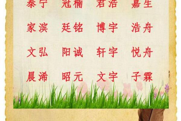 徐姓女孩名字的寓意与起名技巧解析 徐姓女孩名字的寓意与起名技巧解析