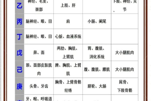 女命八字与性格分析:命运与个性如何相互影响 女命八字与性格分析:命运与个性如何相互影响