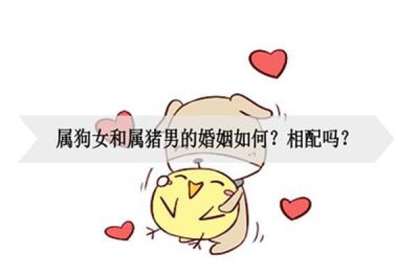女兔男猪婚姻的优缺点与相处之道 女兔男猪婚姻的优缺点与相处之道