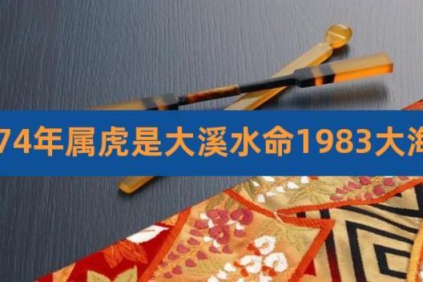 属虎人水命的性格与命运趋势 属虎人水命的性格与命运趋势
