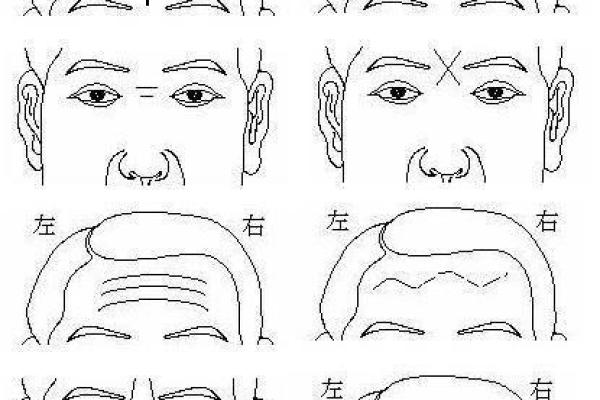 印堂八字纹的形成与解读:面相学中的神秘符号分析 印堂八字纹的形成与解读:面相学中的神秘符号分析