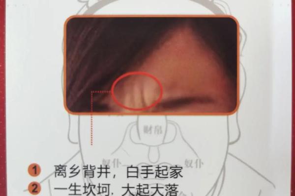 印堂八字纹的形成与解读:面相学中的神秘符号分析 印堂八字纹的形成与解读:面相学中的神秘符号分析