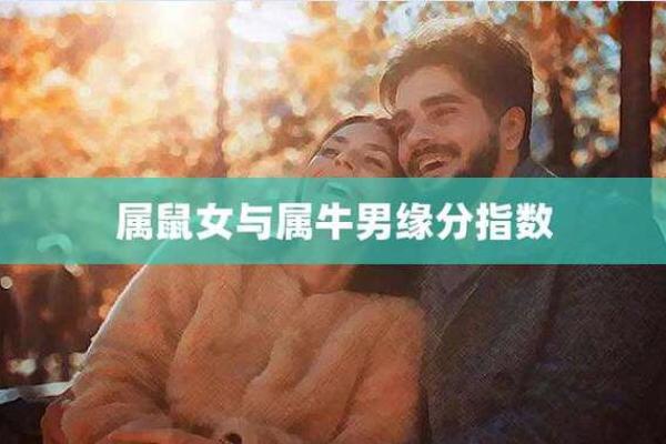 属牛男和属鼠女的婚姻是否幸福 属牛男和属鼠女的婚姻是否幸福
