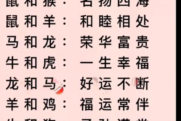 从生肖看兔与鼠的婚姻关系与相处之道 从生肖看兔与鼠的婚姻关系与相处之道