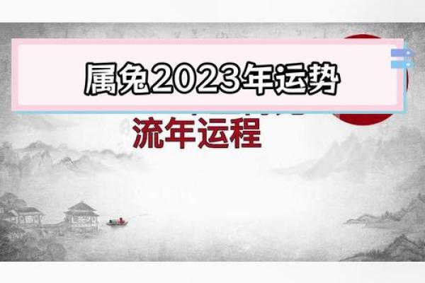 属兔人的事业与财富运势详解 属兔人的事业与财富运势详解