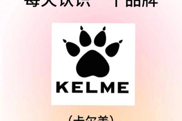 精选会计公司名称创意，提升品牌辨识度