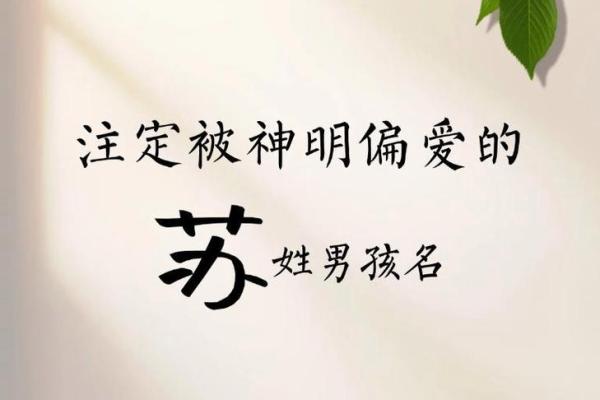 苏姓宝宝起名大全,打造独特个性名字 苏姓宝宝起名大全,打造独特个性名字