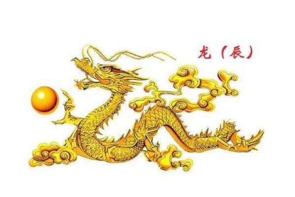 肖龙每月运程解析:逐月揭示命运走向 肖龙每月运程解析:逐月揭示命运走向