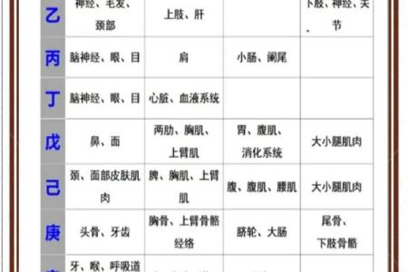 女命八字与性格分析：命运与个性如何相互影响