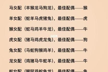 通过生肖与生辰八字选择最佳事业方向