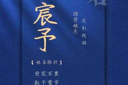 为什么洛阳的起名公司那么受欢迎？