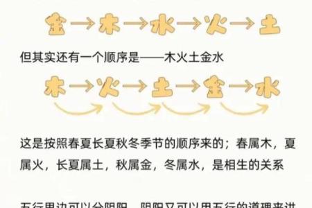 五行理论解析：如何通过五行算命提升生活运势