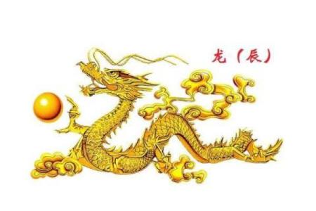 肖龙每月运程解析：逐月揭示命运走向