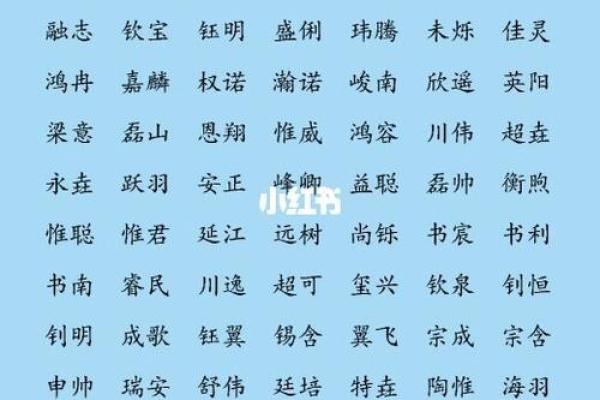 出生男宝宝名字的热门元素与风格 出生男宝宝名字的热门元素与风格