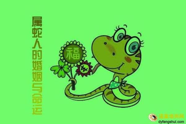 命运如何?解读出生于这一年的命运走向 命运如何?解读出生于这一年的命运走向